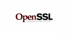 openssl synology