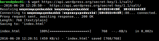 wget with proxy